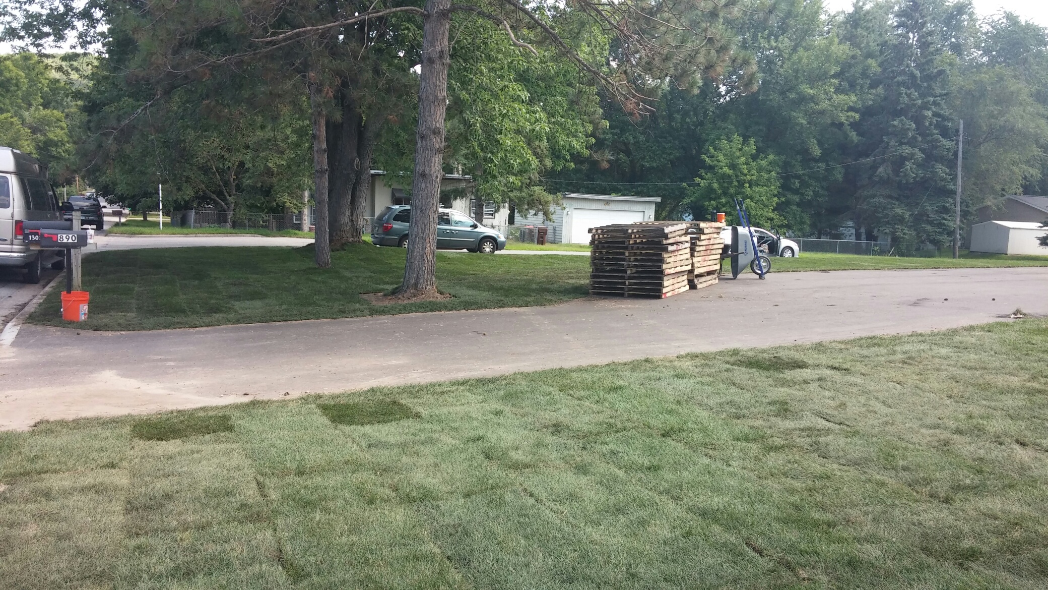 New Sod at Eric's House